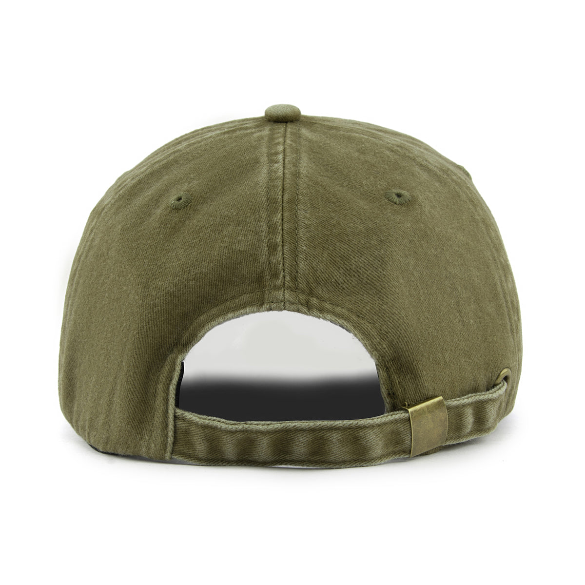 BigBrains Co. Green XL - XXL Dad Hat