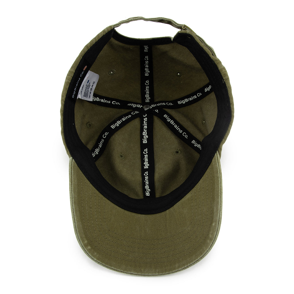BigBrains Co. Green XL - XXL Dad Hat